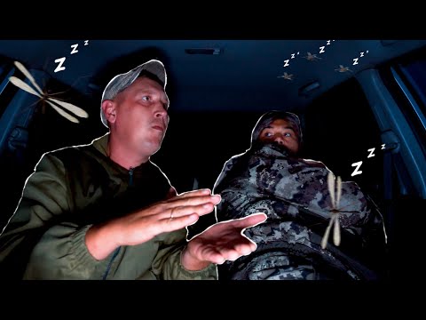 Видео: НОЧЬ В МАШИНЕ