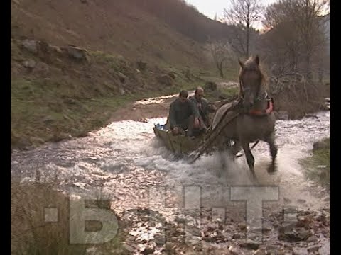 Видео: ДИВЕЧОВО ЛОВНО СТОПАНСТВО "РОСИЦА" ДО СЕВЛИЕВО  (2011)