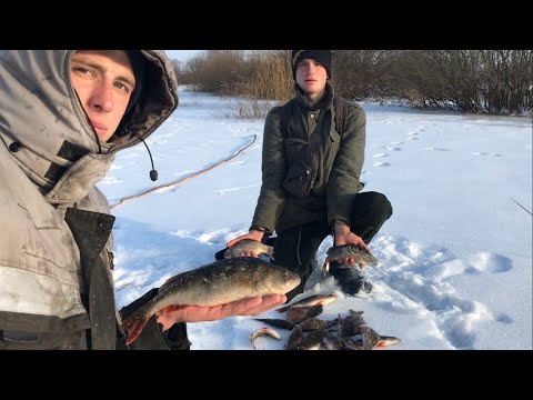 Видео: СЕГОДНЯ ПОЛОСАТЫЙ ЛОВИТЬСЯ ОТЛИЧНО!ОДИН ЗА ОДНИМ!