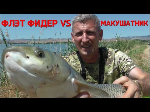 Видео: ФЛЭТ ФИДЕР VS МАКУШАТНИК. ВАШИ СТАВКИ ГОСПОДА #флэтфидер #флэтметод #рыбалка