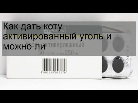 Видео: Как дать коту активированный уголь и можно ли