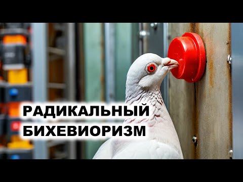 Видео: 05.2. Радикальный Бихевиоризм (Б. Скиннер)