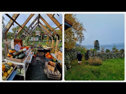 Видео: Простая жизнь в Норвегии. 