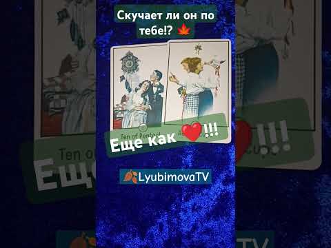 Видео: 🍁Счастье спешит к тебе!☺✨ скучает ли он!? ? 😲🔥💯 #love #tarot #lyubimovatv