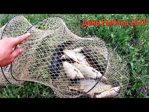 Видео: День Рыбака 2021 в Любино | Карпики и Амуры Заставили Побегать