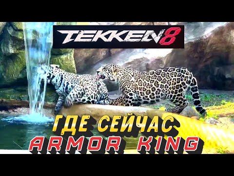 Видео: ГДЕ ПРОПАДАЕТ  ARMOR KING TEKKEN 8