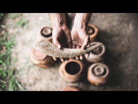 Видео: Природа - наше всё! Биодинамическое виноделие