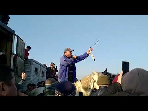 Видео: Намыссыздар деп көкпаршыларға жаман айтты😰😱