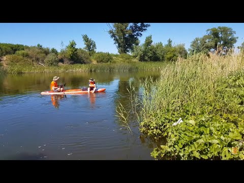 Видео: Сплав на SUP борде по р. Чир г. Суровикино 1 Часть.