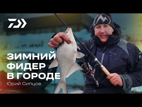 Видео: Зимний фидер в городе. Юрий Сипцов.