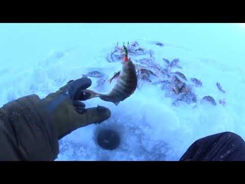 Видео: ВЗЯЛ ЖЕНУ НА РЫБАЛКУ. СЛАБОНЕРВНЫМ НЕ СМОТРЕТЬ. ЧАСТЬ 2.