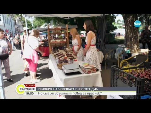 Видео: В Кюстендил се провежда празник на черешата
