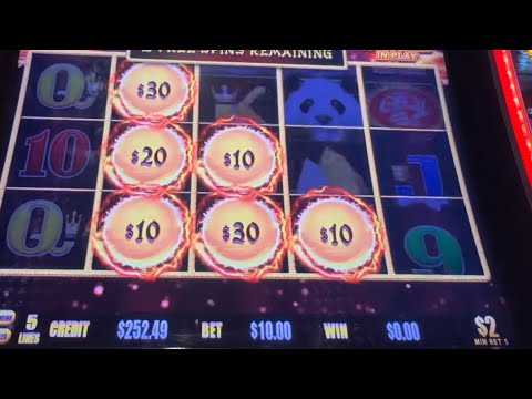 Видео: Сегодняшняя магия панды