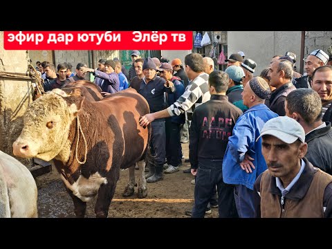Видео: МОЛБОЗОРИ ХУЧАНД ХУДЖАНД ТОЖИКИСТОН в прямом эфире!