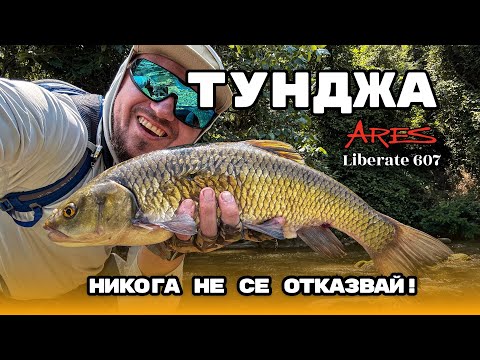 Видео: Трофейна риба от Тунджа! 50+ см кефал при последното хвърляне