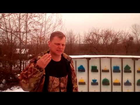 Видео: Пчелопакеты кавказянка