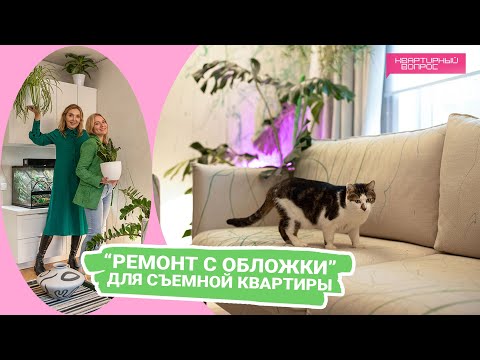 Видео: Квартирный вопрос 01.10.2022, "Ремонт с обложки" для съемной квартиры
