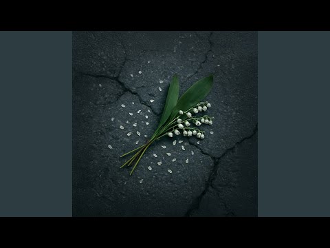 Видео: Привет