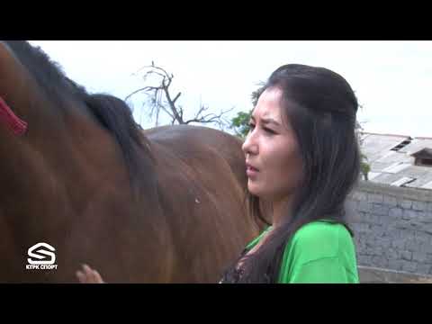 Видео: Аргымак 18-көрсөтүү Самат Калмаматов , Таалай Мырзакматов   ТОКМОК, АЛАЙ жана ГЕРАКЛ аргымактары