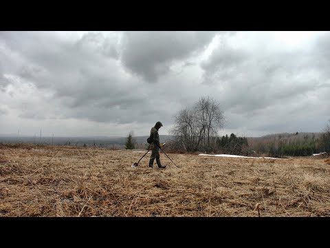 Видео: Вот что значит - весна... #363