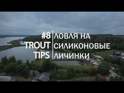 Видео: Trout Tips #8. Ловля на силиконовые личинки
