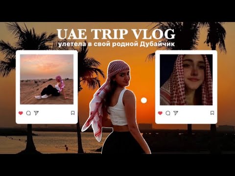 Видео: ДУБАЙ & ШАРДЖА / сафари, х-mas vibes, самый красивый пляж / 2023🇦🇪 (на русском)