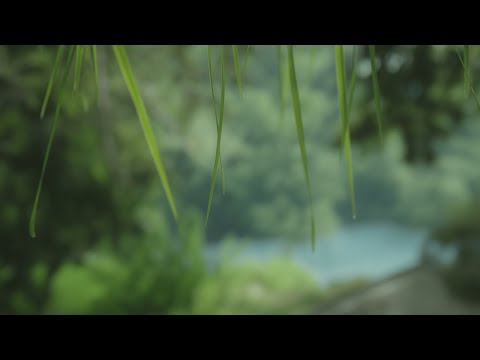 Видео: Красивая музыка для души - Сборник лучших мелодий 2025 (Часть 6) 🎵