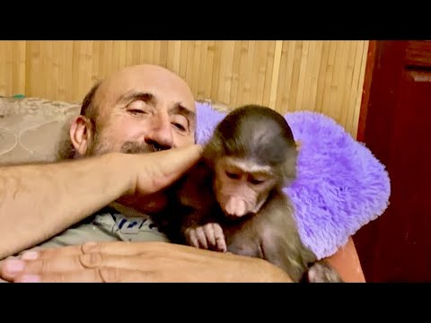Видео: Анфиса устроила нам ОБЕДЕННЫЙ ПЕРЕРЫВ, выгнала всех с дивана, а от папы не отходит)))