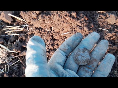 Видео: Поиски с металлоискателем в поле г. Мамоново