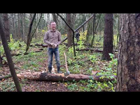 Видео: 26 10 25 ПОРУБАС 9