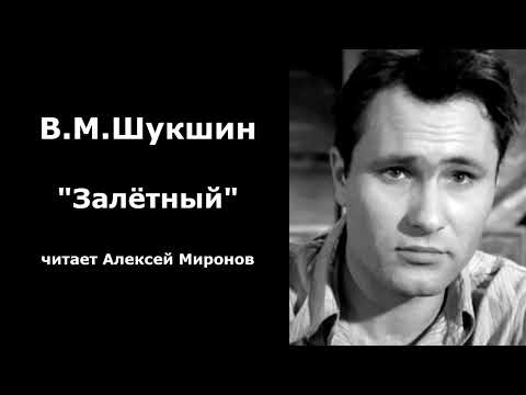 Видео: Василий Шукшин. "Залётный"