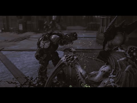 Видео: Warhammer 40,000: Space Marine 2 - Билд Силовой кулак (Героический) через отражение Штурмовик