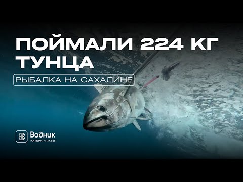 Видео: РЫБАЛКА ПО-САХАЛИНСКИ – ПОЙМАЛИ 224 КГ ТУНЦА ЗА 2 ДНЯ! | Салон катеров и яхт «Водник»