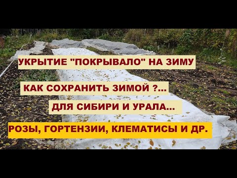 Видео: Укрытие на зиму "ПОКРЫВАЛО" для растений в горшках.