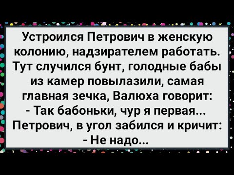 Видео: Так Бабоньки, Чур Я Первая! Новый Сборник Свежих Смешных Жизненных Анекдотов!