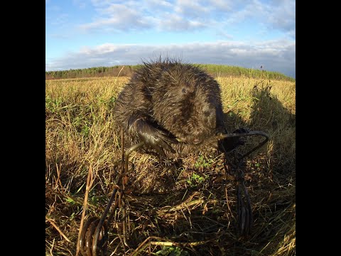 Видео: Удачная установка КП-320 на плотине
