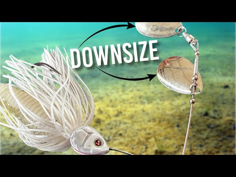 Видео: То, что вам никто не расскажет о спиннербейтах