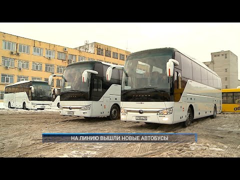 Видео: Рыбинск-40. НА ЛИНИЮ ВЫШЛИ НОВЫЕ АВТОБУСЫ