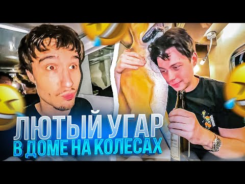 Видео: КОРЕШ И ФРАМЕ ТАМЕР НАПИЛИСЬ В ДОМЕ НА КОЛЕСАХ | ХАЗЯЕВА КУПИЛИ СОБАКУ