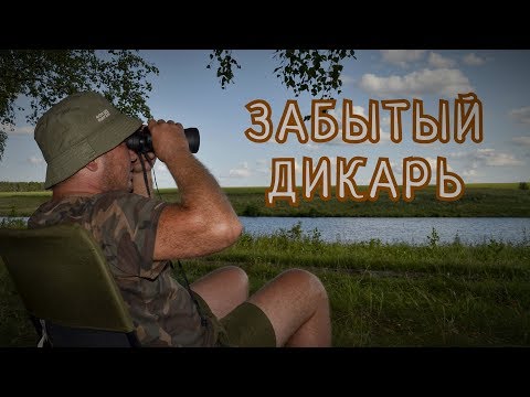 Видео: Карпфишинг. Забытый дикарь.