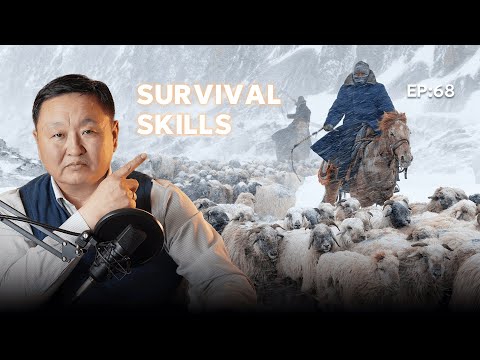 Видео: 🔍 ШУ-ны хялбаршуулсан нийтлэл Ep : 68 | Survival Skills | ФУ-ны Доктор, Норовын Тэгшбаяр