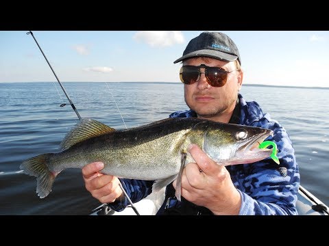 Видео: Ловля судака на джиг
