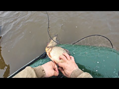 Видео: ПРОВЕРКА СЕТЕЙ НА ОЗЕРЕ ОСЕНЬЮ. ЛОВЛЯ РЫБЫ НА СЕТИ В МУТНОЙ ВОДЕ. СКОЛЬКО ЕСТЬ, ВСЕ НАШЕ.