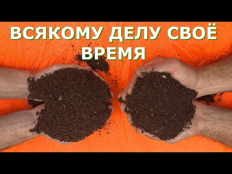 Видео: Быстрый компост осенью – грунт для рассады Забота о рассаде начинается осенью
