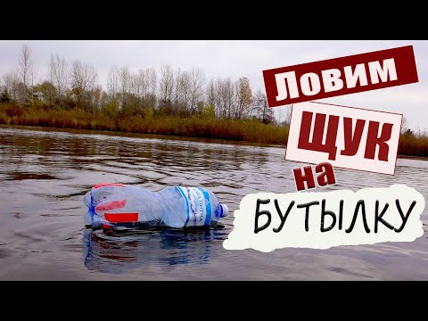 Видео: ЩУКА на примитивную снасть ☝.  Осенний ЖОР Щуки✔ (часть улова отпустили) Формат 4К☝