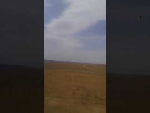 Видео: Шымкорган коктобе ауылы