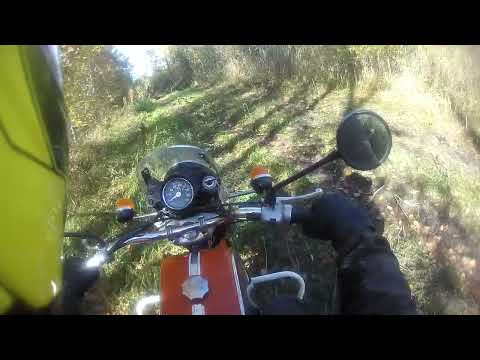 Видео: 4 октября 2024 г.