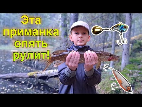 Видео: 100 % ЗДЕСЬ КИШИТ ЩУКА! 👉 Осенняя рыбалка на щуку | Спиннинг с берега в лесном озере (октябрь 2025)