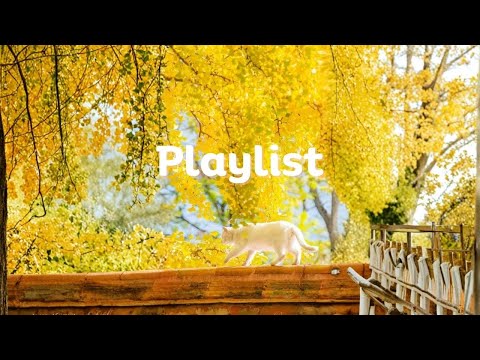Видео: Playlist🎧POP, который освежает тебя с первых нот 🌊
