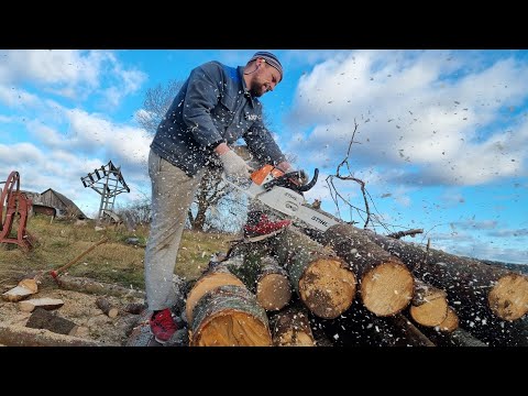 Видео: САМАЯ ЛУЧШАЯ БЕНЗОПИЛА STIHL MS 260, КОТОРОЙ Я РАБОТАЛ